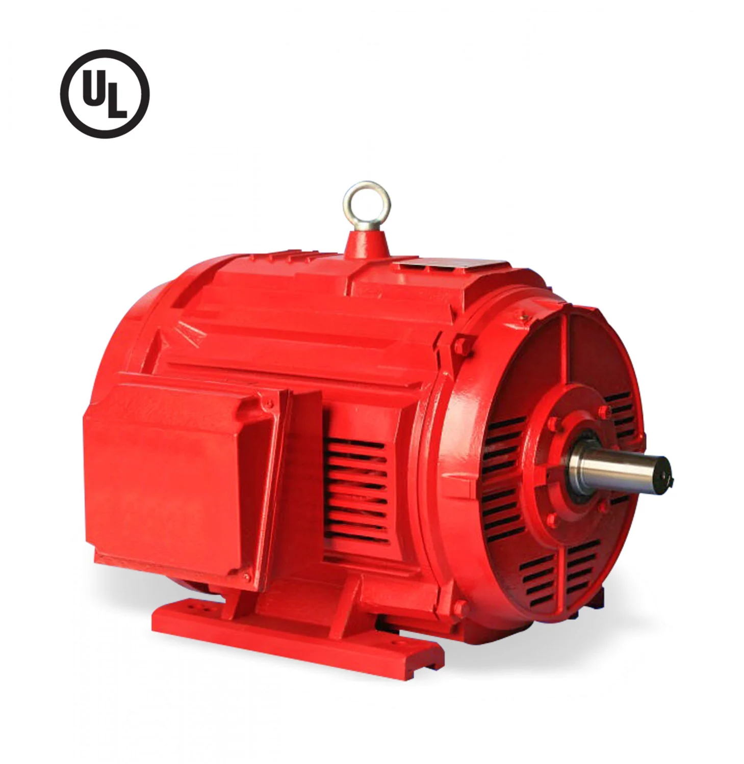 Certified Electric Motor