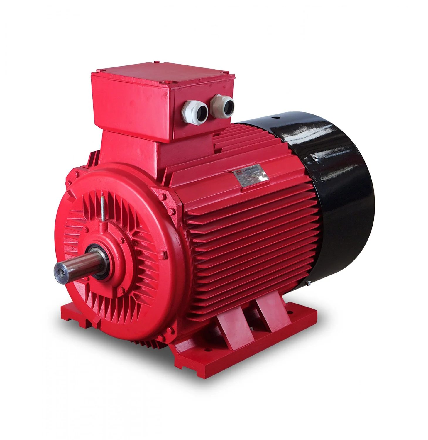 Electric Motor