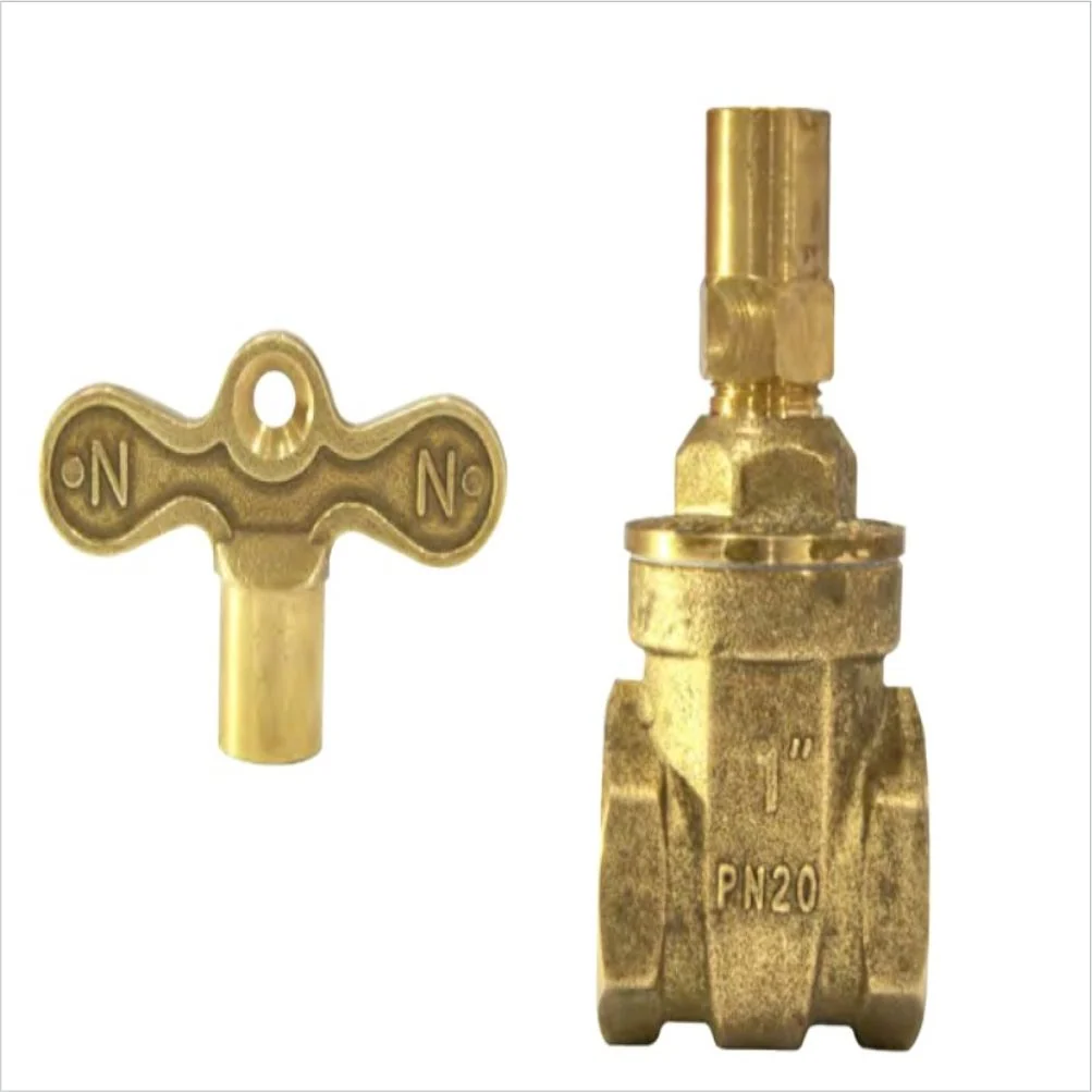 LOCK SHIELD VALVE