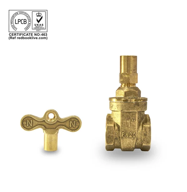Lock Shield Valve