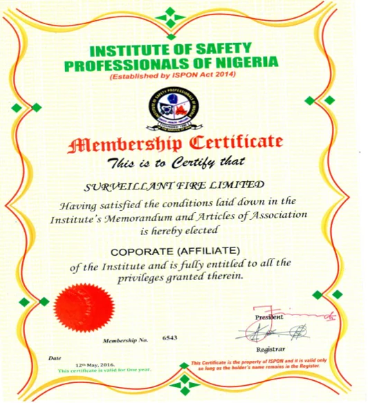 Surveillant Fire professional recognition document
